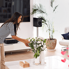 Gifts for the House-Prouds