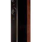 Gloss Black / Rosewood