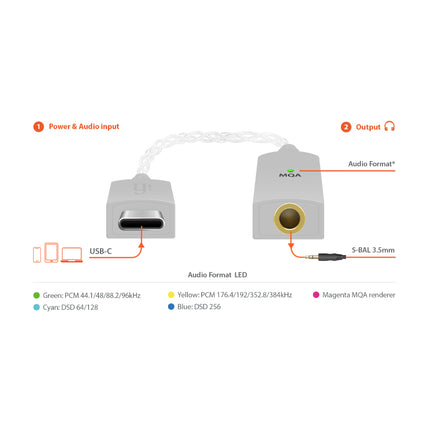 iFi GO link - DAC & Amplifier - USB-C to 3.5mm Adapter