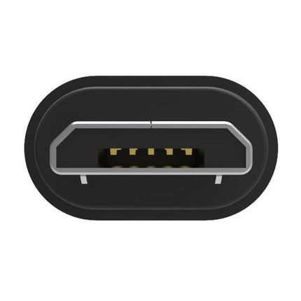 iFi Audio OTG Cable/Adapter Micro USB