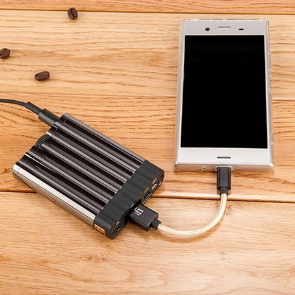 iFi Audio OTG Cable/Adapter Micro USB