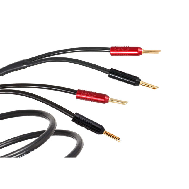 Atlas Hyper Achromatic Z 2.0 Speaker Cables